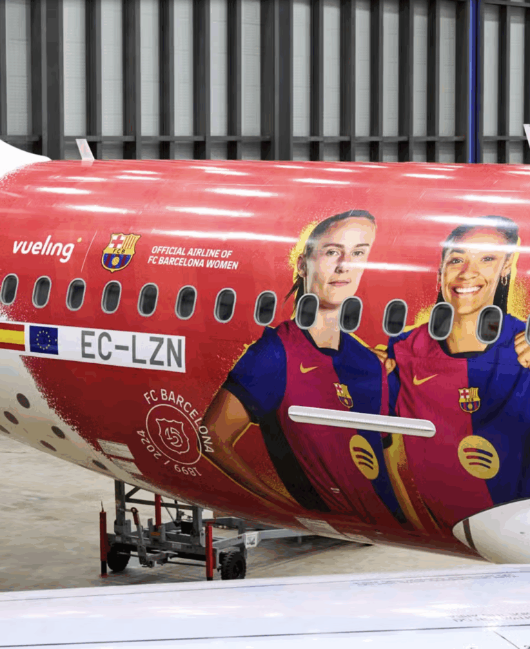Exterior Livery Decals Certification - Cabinair Group - Aircraft ...
